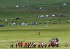 Тэгш ой тохиож буй аймгуудын наадам энэ сарын 22-ноос эхэлнэ