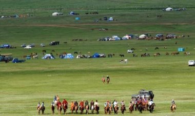 Тэгш ой тохиож буй аймгуудын наадам энэ сарын 22-ноос эхэлнэ