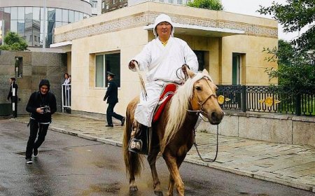 Ордноос гарахгүй 3-4 өдөр өрөөндөө суулт хийв