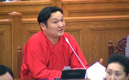 Санаачилсан хуулийг санаатайгаар хэлэлцсэнгүй