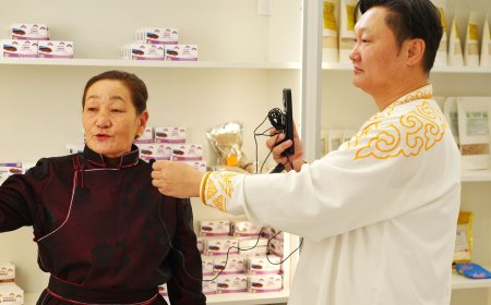 "МОНГОЛ ЭВ НЭГДЭЛ"  ТӨСӨЛ ӨМНӨГОВЬ АЙМАГТ